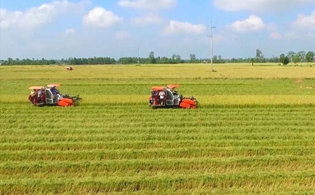 Công thức tính giá bồi thường đất nông nghiệp chuẩn
