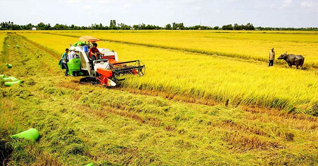 Ví dụ thực tế cách tính giá bồi thường đất nông nghiệp