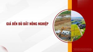 tính giá bồi thường đất nông nghiệp